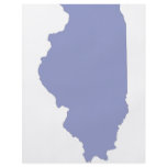 ILLINOIS a BLUE state Full Color Flyer