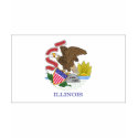 Illinois FLAG International t-shirts