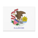 Illinois Flag