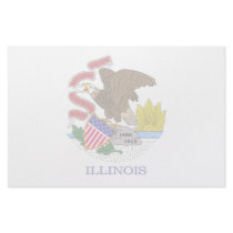 Illinois Flag stationery
