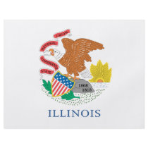 ILLINOIS FLYERS