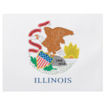ILLINOIS FLYERS
