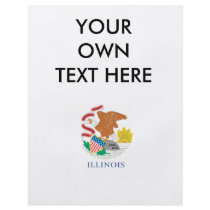 ILLINOIS FULL COLOR FLYER