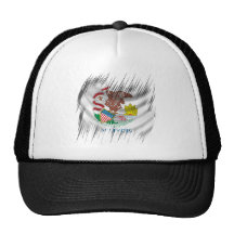 Illinois Hats