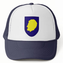 Illinois National Guard - Hat