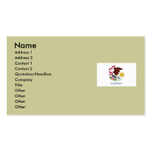 Illinois State Flag Business Card Template