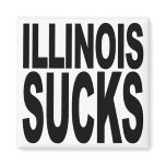 Illinois Sucks magnets