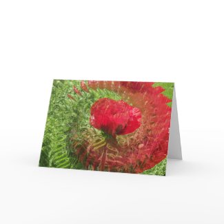 Illlusion Of A Poppy card
