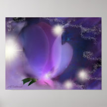 Illumina 2 print