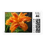 Illuminated Lilly Stamp