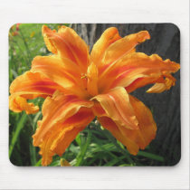 Illuminated Lily Mousepad mousepads