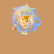 Illuminated Rose! t-shirts by Perlyyyy Illuminated Rose! t-shirts