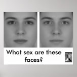 Illusion of Sex Poster posters