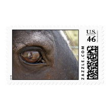 Illusion Postage