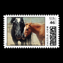 Illusion & Rush stamps