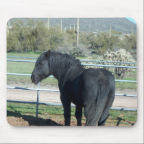 Illusion the Percheron mousepads