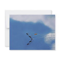 Illusions invitations by laureenr Illusions invitations