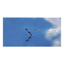Illusions photo cards by laureenr Illusions photo cards
