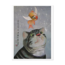 illusions postcards