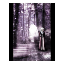 Illusions posters