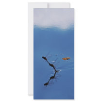 Illusions rack cards by laureenr Illusions rack cards