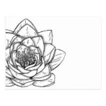 Illustrated Flower Modern Postcard postcards