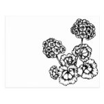 Illustrated Hydrangeas Modern Postcard postcards