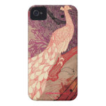 Illustrated Peacock iPhone case iPhone 4 Covers