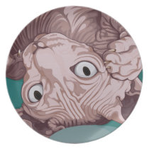 Illustrated Sphynx Wrinkled Cat Art Plate