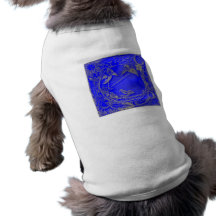 Illustration alchemy alchemy pet clothing