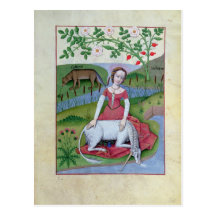 Illustration from the 'Book of Simple Medicines' Postcards