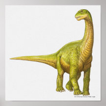 Illustration of a Camarasaurus Print