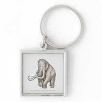 Illustration of a mammoth key chains