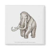 Illustration of a mammoth fridge magnets