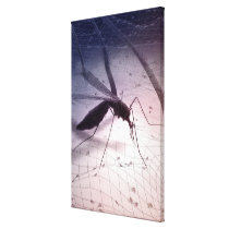Illustration of a mosquito biting stretched canvas prints