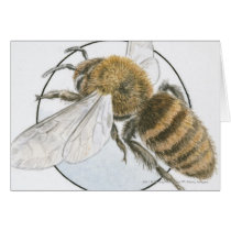 Illustration of European Honey Bee Cards