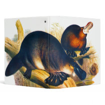 illustration of the australian mammal Platypus Vinyl Binder