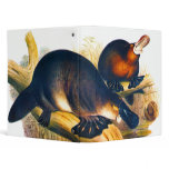 illustration of the australian mammal Platypus binders