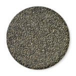 Illustrative Stone stucco - warm-colored magnets