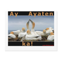 Ilocano Collections Arubub, Jones, Isabela postcards by weblord Ilocano Collections Arubub, Jones, Isabela postcards