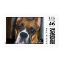 ILoveBoxers! postage by rdhall77 ILoveBoxers! postage