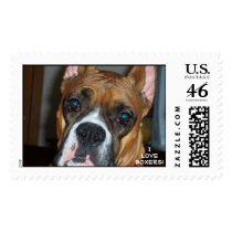 ILoveBoxers! postage