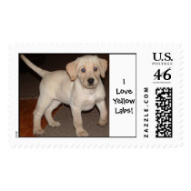 ILoveYellowLabs! postage by rdhall77 ILoveYellowLabs! postage