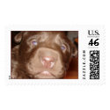   ILoveYou postage