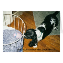 im a dog, not a mathematician cards by holycrocodile im a dog, not a mathematician cards