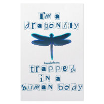 I'm a Dragonfly stationery