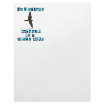 I'm a Falcon letterhead