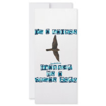 I'm a Falcon rack cards
