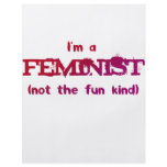 I'm a Feminist... not the fun kind! flyers