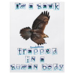 I'm a Hawk flyers